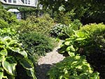 planting detail - summer